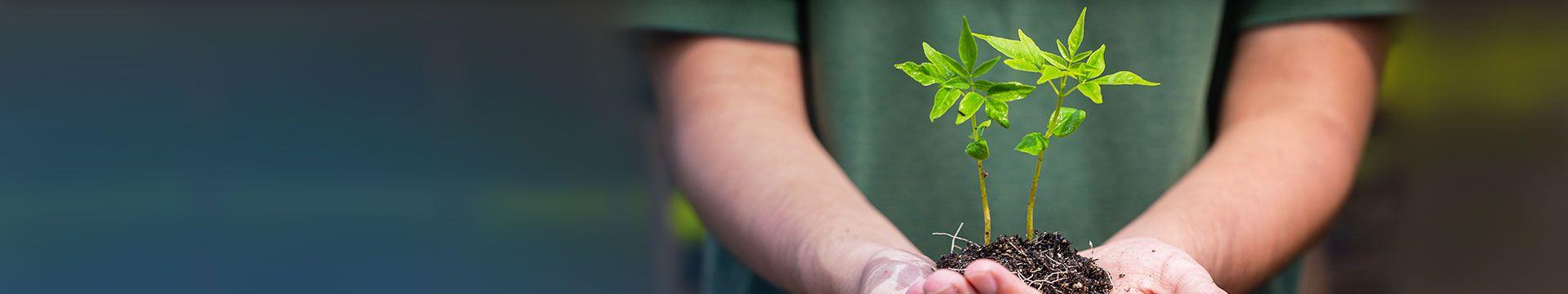 토토 사이트 순위 사이트 순위배너\E